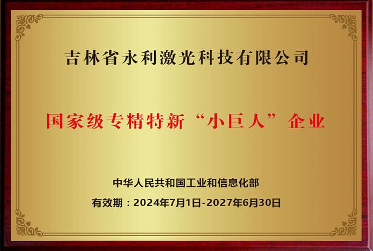 专精特新
