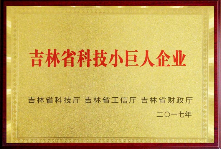 省级小巨人